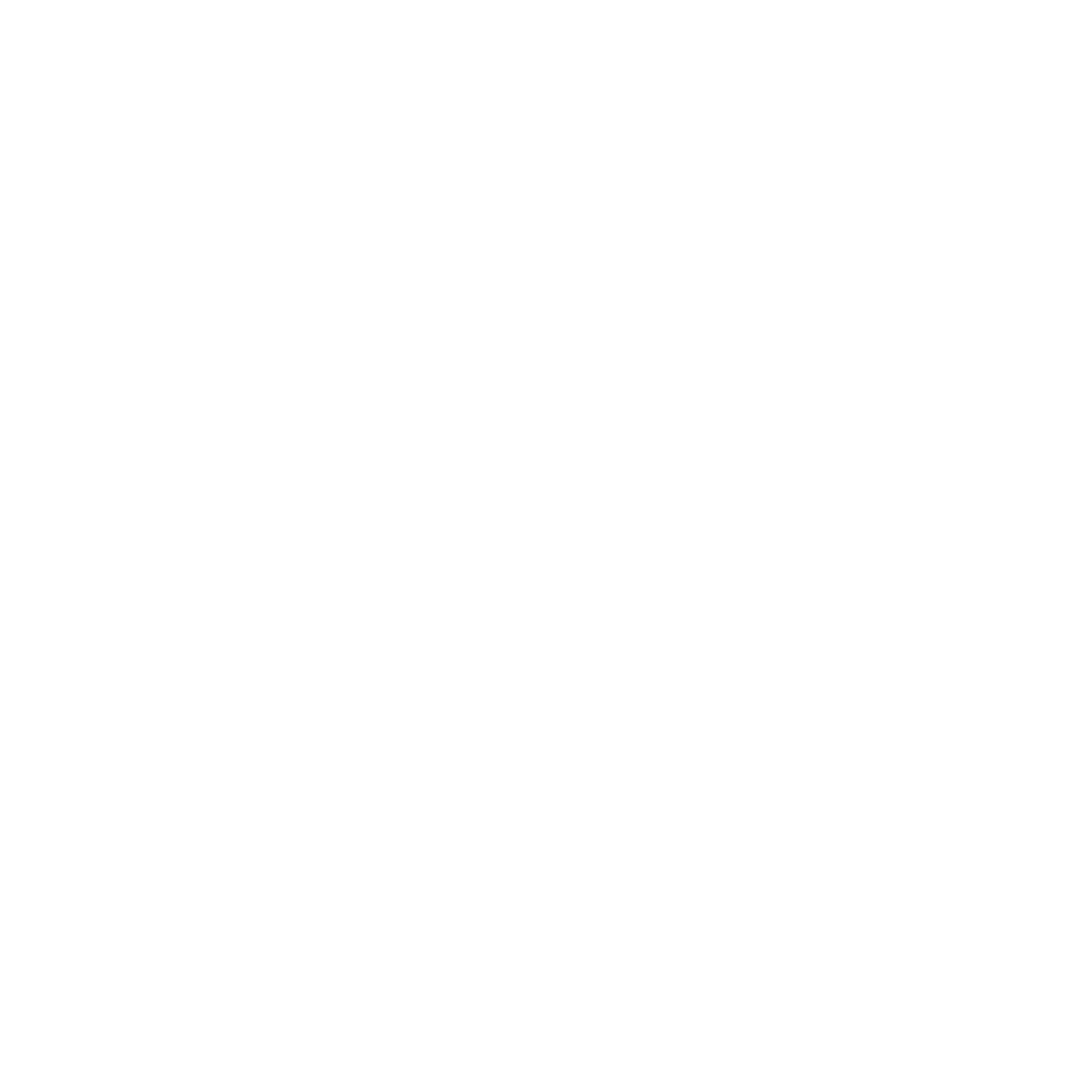 Fisga